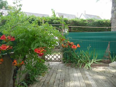 MAISON PELLOUAILLES LES VIGNES - 7 pieces - 135 m2
