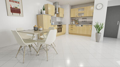 Nantes PROCE /ROND POINT DE VANNES : Appartement 3 pieces 56 m2 GARAGE/ ASCENSEUR /