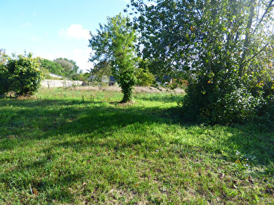 Terrain a batir non viabilise de 1400m2 proche Saumur