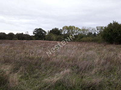 Terrain agricole a vendre a Vallet