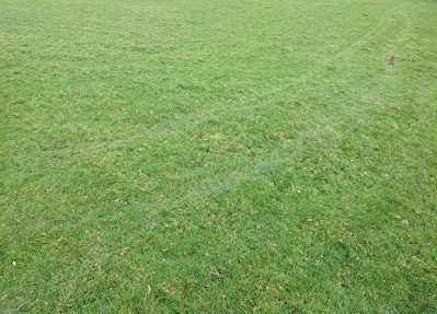Terrain Moustoir Ac 2000 m2
