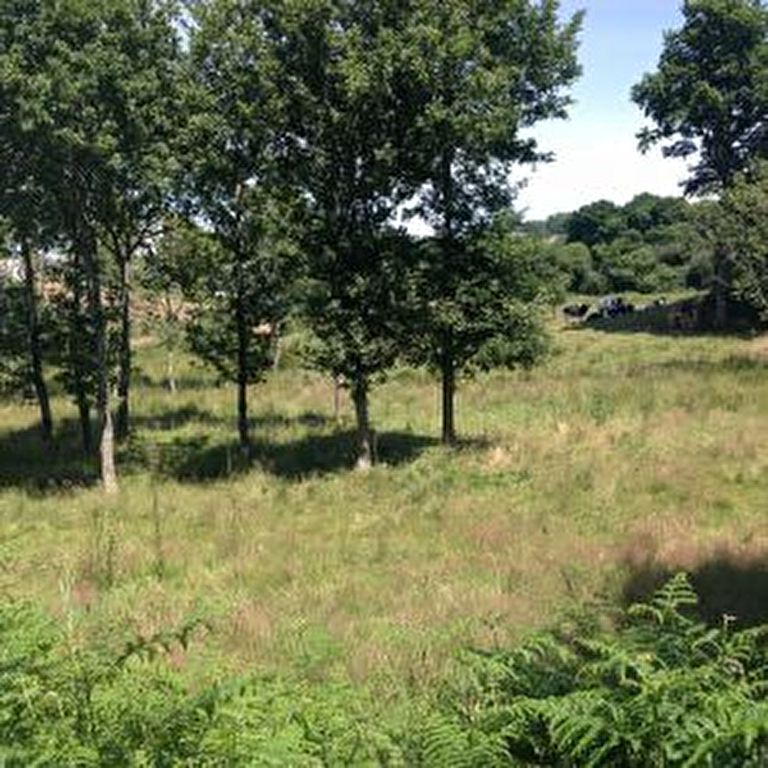 Terrain agricole a vendre Moustoir Ac