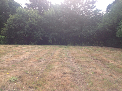 Terrain Locmine
