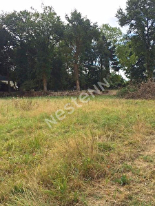 COLPO- Terrain constructible de 1500 M2