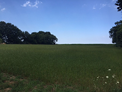 Terrain a vendre 1 120 M2.