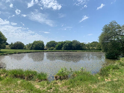 CRUGUEL - Terrain de plus de 21 000 m2 avec un etang