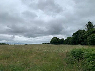 Terrain constructible a Buleon 5400 m2