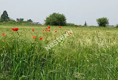 Terrain a batir Goven 402 m2