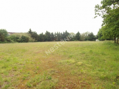 Terrain Bruz 6545 m2
