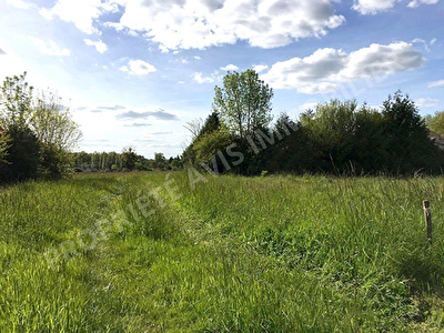 Terrain constructible VALENCAY (INDRE 36)