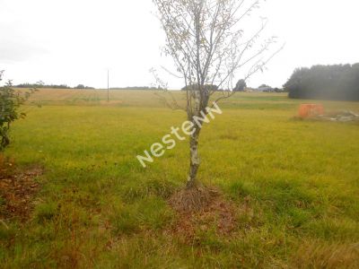 Terrain Lucay Le Male (INDRE 36)