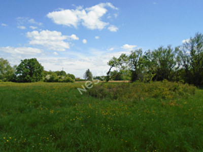 Terrain Vicq Sur Nahon 4541 m2