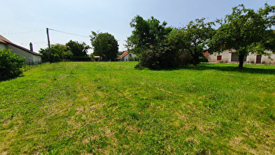 Terrain de 3980 m2 a l'entree de Valencay (INDRE)