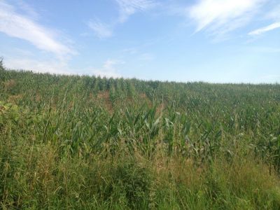 Terrain Clery-en-vexin