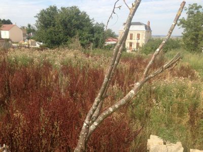 Terrain Clery-en-vexin