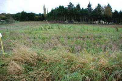 Terrain Magny En Vexin 850 m2