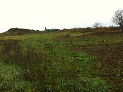Terrain