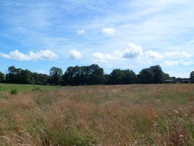 Terrain Plescop 956 m2, a 5 mins de Vannes...