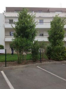 Plescop centre ville,