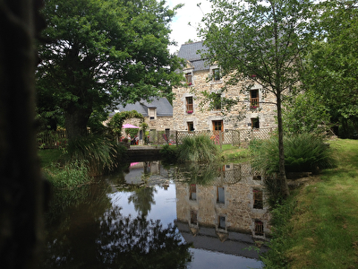 MOULIN, HECTARES, LONGERE