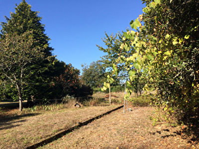 TERRAIN VANNES 850 m2
