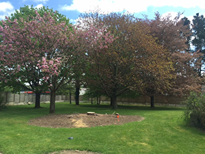 Terrain viabilise a Vannes 865 m2
