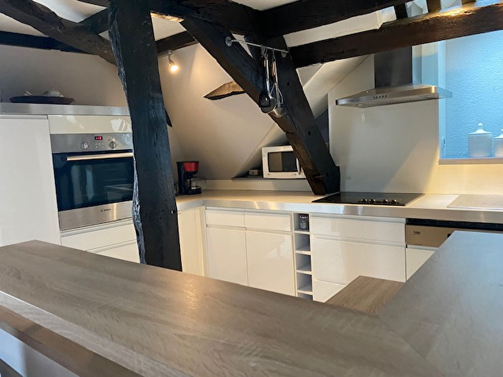 appartement à louer hull animaux acceptés   100