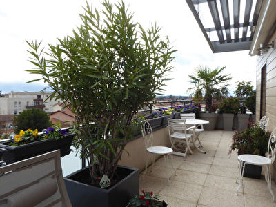 CHASSIEU CENTRE - Type 3 Terrasse type
