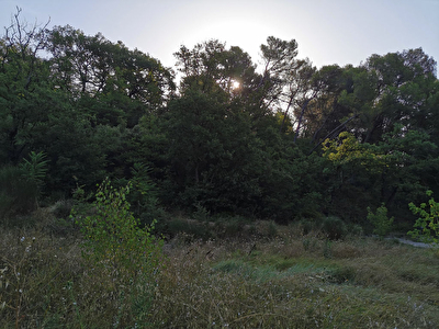 Terrain constructible de 1 800 m2 a vendre a Entrechaux