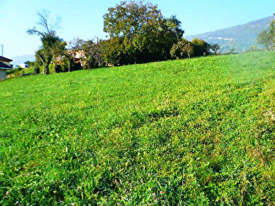 TERRAIN A BATIR LA MOTTE SERVOLEX - 1539 m2