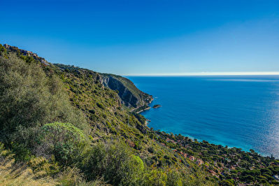 Offre rare terrain agricole de 3.2 ha avec villa de 140m2 a 5min de Monaco