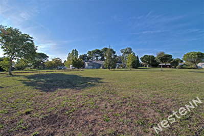 BOE - Ensemble immobilier comprenant un Local pro, 3 Hangars et un Loft sur 9000 m2.