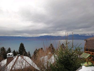 CHALET VUE PANORAMIQUE LAC