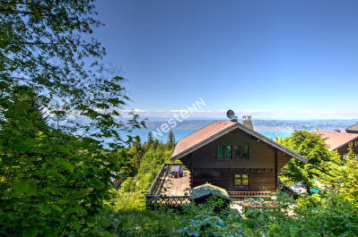 Thollon les memises vue lac chalet