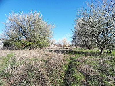 Terrain a la campagne