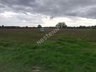 Terrain SIMARD 11892 m2