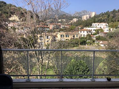 Bel Appartement 2 pieces 42m2 Roquebrune Cap Martin calme et lumineux