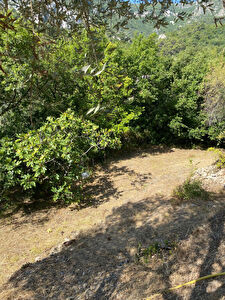 A 10mn du bord de mer sur la commune de gorbio terrain de 1300m non constructible