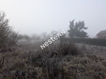 54113 BLENOD LES TOUL - Terrain 3