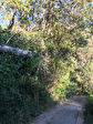 06530 SAINT CEZAIRE SUR SIAGNE - Terrain 1
