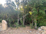 20144 SAINTE LUCIE DE PORTO VECCHIO - Terrain 1