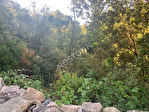 20144 SAINTE LUCIE DE PORTO VECCHIO - Terrain 2