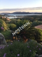 20144 SAINTE LUCIE DE PORTO VECCHIO - Maison