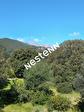 20144 SAINTE LUCIE DE PORTO VECCHIO - Appartement 2