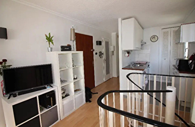 Appartement atypique 3 pieces 50 m2
