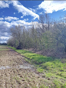 Terrain Auffargis 4240 m2