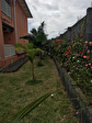 97440 SAINT ANDRE - Maison