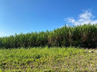 Terrain a vendre a Saint Benoit