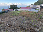 97490 BOIS DE NEFLES - Terrain