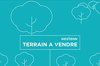 TERRAIN A VENDRE a la Plaine des Palmistes